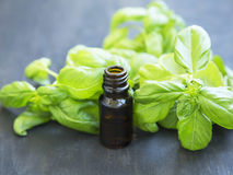 5 best essential oil for hair growth and hair thinning