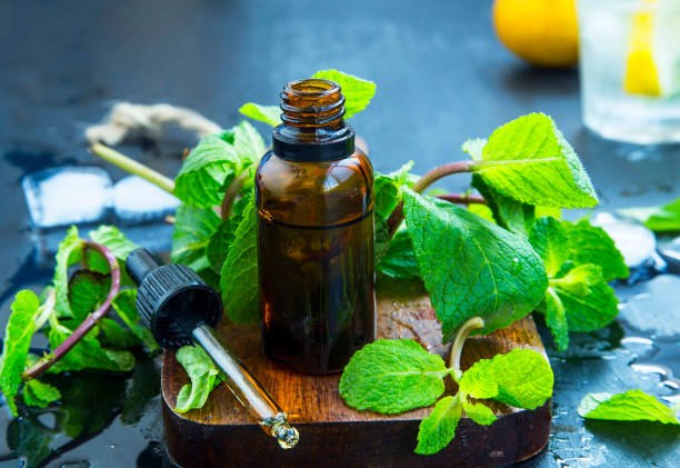 peppermint essential oil