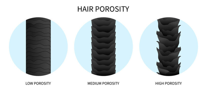 Different hair porosity types