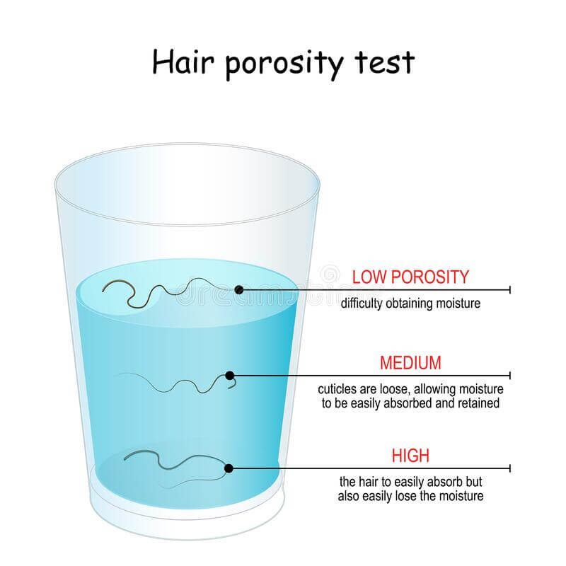 Hair porosity test, low porosity, medium porosity and high porosity
